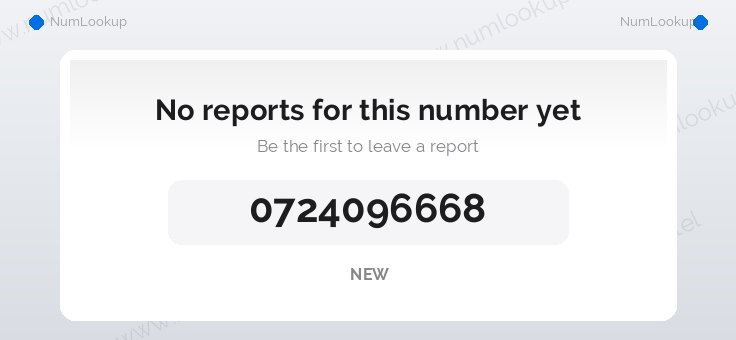 Phone number details for 0724096668