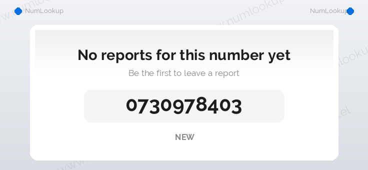 Phone number details for 0730978403