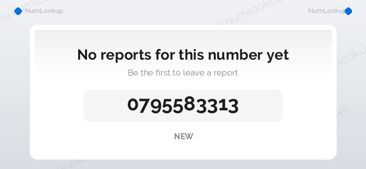 Phone number details for 0795583313