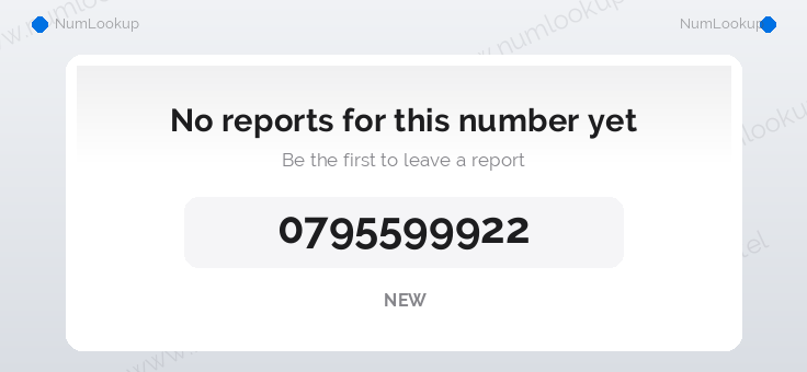 Phone number details for 0795599922