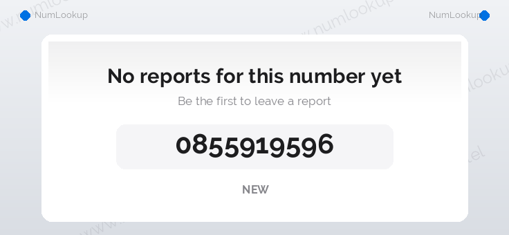 Phone number details for 0855919596