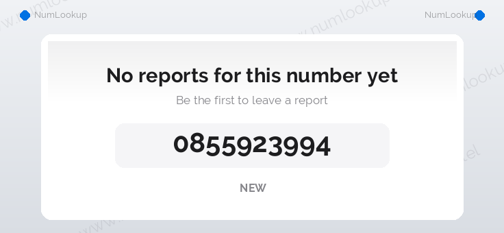 Phone number details for 0855923994