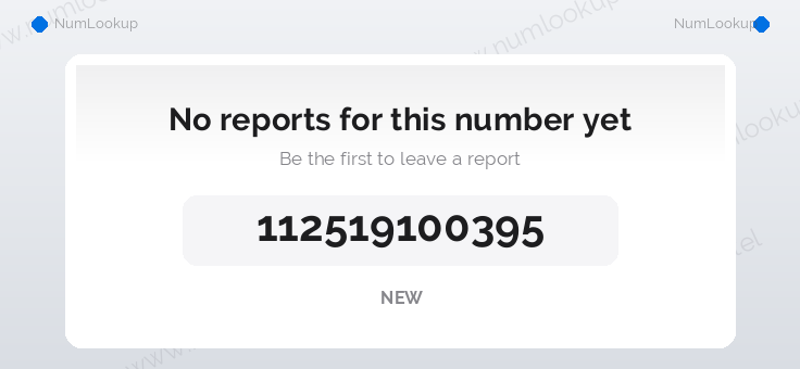 Phone number details for +112519100395