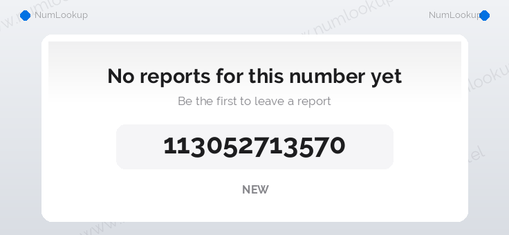 Phone number details for +113052713570