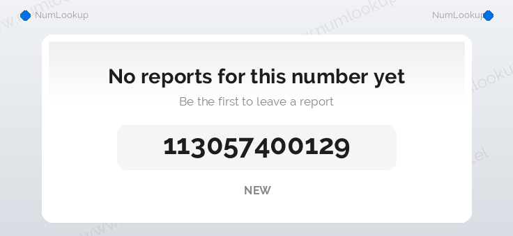 Phone number details for +113057400129