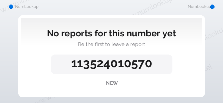 Phone number details for +113524010570