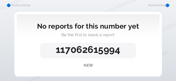 Phone number details for +117062615994
