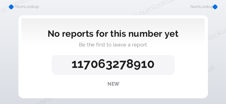 Phone number details for +117063278910