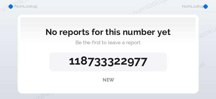 Phone number details for +118733322977