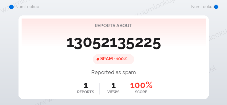 Phone number details for 13052135225