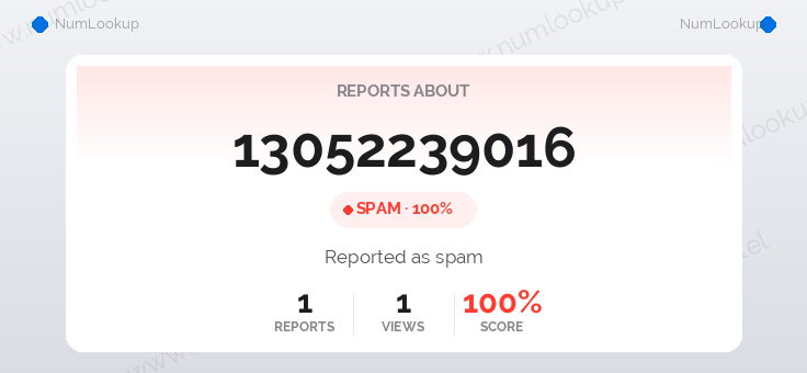 Phone number details for 13052239016