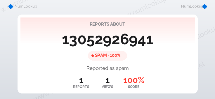 Phone number details for 13052926941