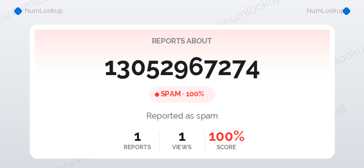 Phone number details for 13052967274