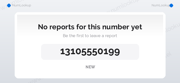 Phone number details for +13105550199