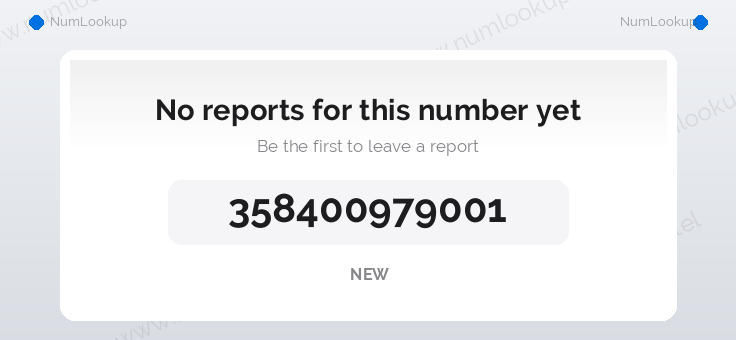 Phone number details for 358400979001