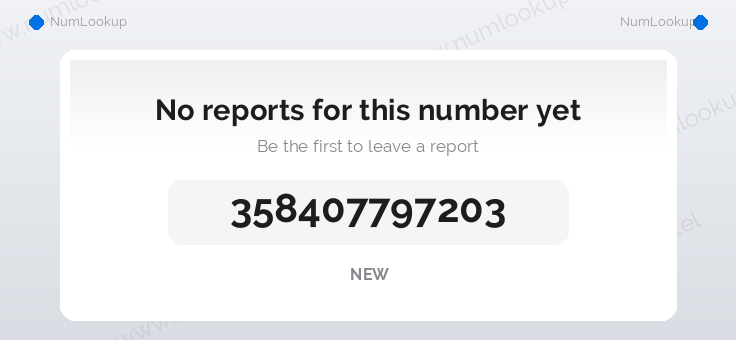 Phone number details for 358407797203