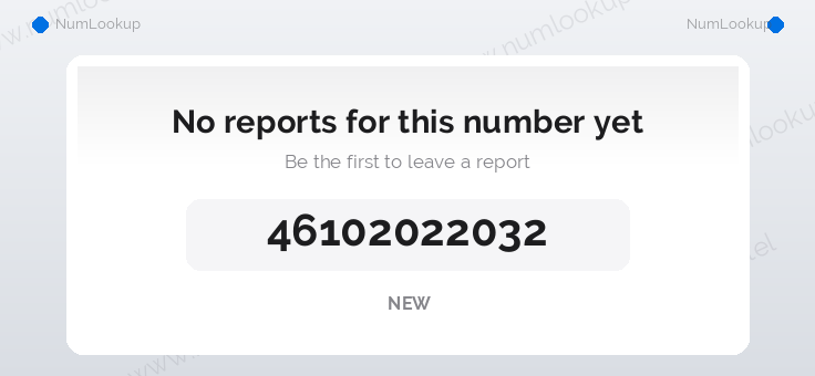Phone number details for 46102022032